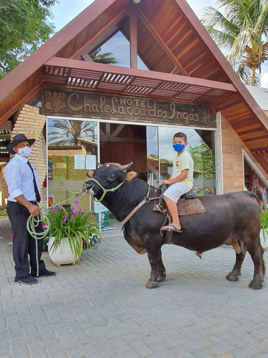 Chale Lagoa Dos Ingas Hotel *